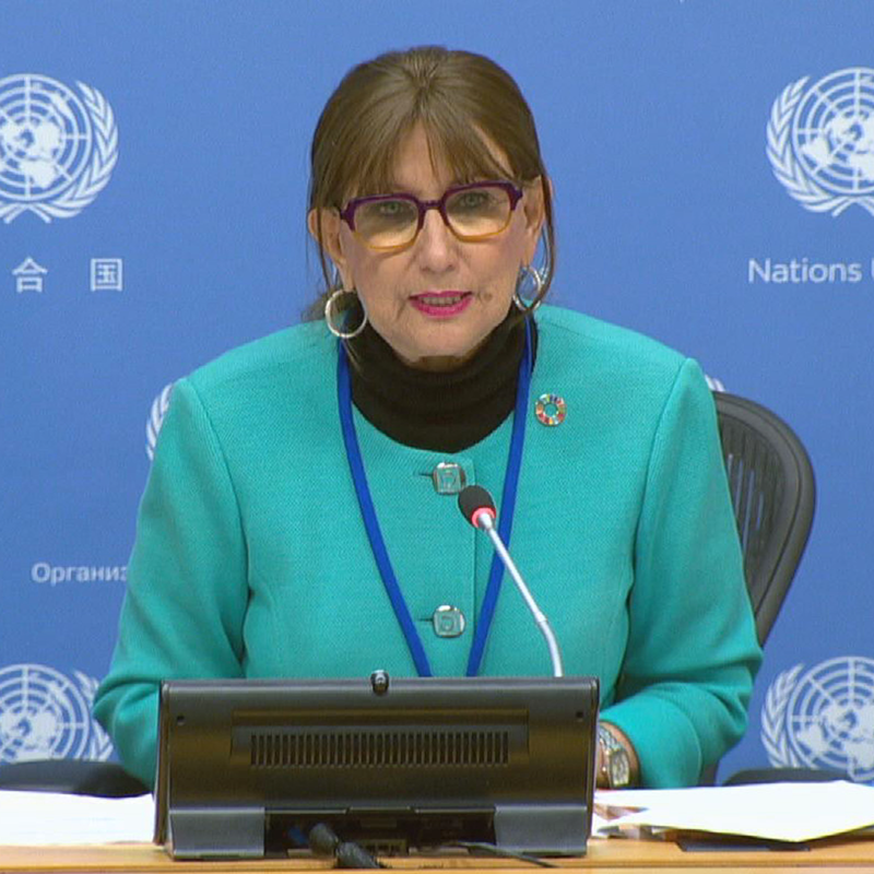 UNCTAD Secretary General @RGrynspan Daily Press Briefing on the upcoming highlights the contribution of trade to development including transport logistics